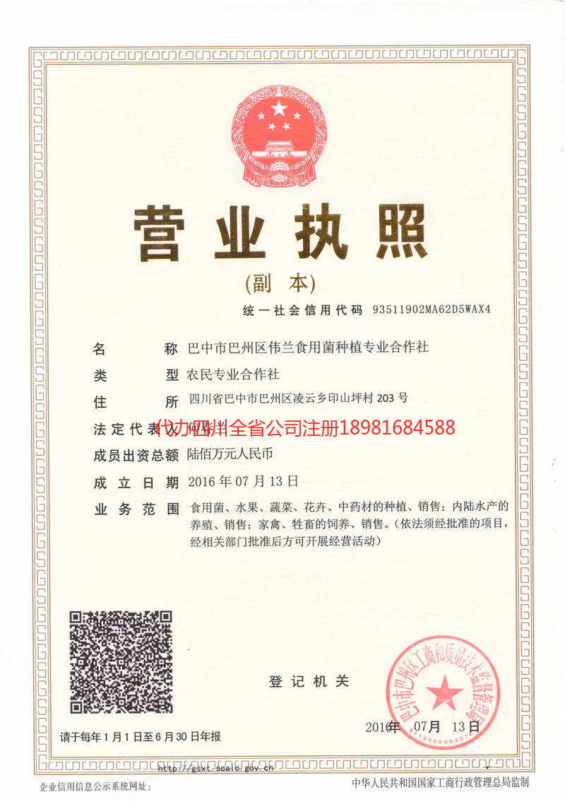 东营东营伟兰食用菌种植专业合作社